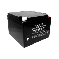 Акумуляторна батарея BAPTA 12В 24,0Ач 176х166х125 BP-5930 1шт 6344